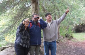 Pitrufquén vivirá, este sábado 14 de marzo, su primera versión del festival de las aves en el parque isla municipal