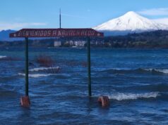 Gobierno frena tramitación del plan de descontaminación del lago Villarrica
