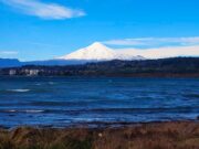 Retiro de 43 iniciativas ambientales enciende alerta en La Araucanía: Federación Regionalista Verde acusa retroceso en protección de la biodiversidad