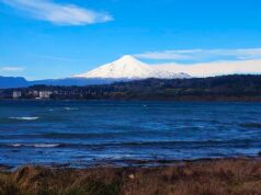 Retiro de 43 iniciativas ambientales enciende alerta en La Araucanía: Federación Regionalista Verde acusa retroceso en protección de la biodiversidad