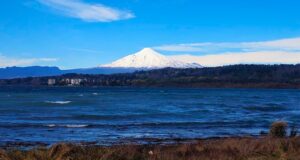 Retiro de 43 iniciativas ambientales enciende alerta en La Araucanía: Federación Regionalista Verde acusa retroceso en protección de la biodiversidad