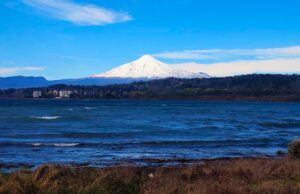 Retiro de 43 iniciativas ambientales enciende alerta en La Araucanía: Federación Regionalista Verde acusa retroceso en protección de la biodiversidad
