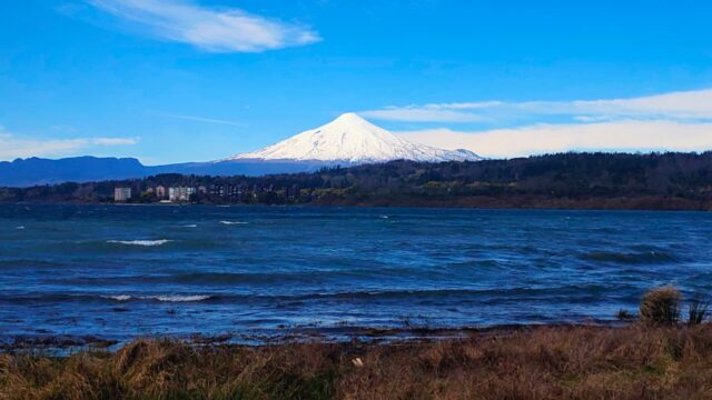 Retiro de 43 iniciativas ambientales enciende alerta en La Araucanía: Federación Regionalista Verde acusa retroceso en protección de la biodiversidad