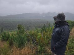 Municipio de Pitrufquén y comunidad celebran día mundial del agua en humedal de Mahuidanche