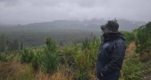 Municipio de Pitrufquén y comunidad celebran día mundial del agua en humedal de Mahuidanche