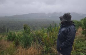 Municipio de Pitrufquén y comunidad celebran día mundial del agua en humedal de Mahuidanche