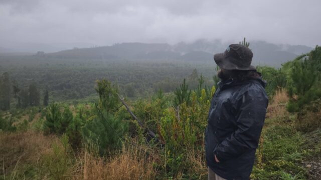 Municipio de Pitrufquén y comunidad celebran día mundial del agua en humedal de Mahuidanche