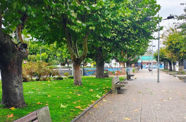 Pitrufquén está entre las ciudades más contaminadas del sur de Chile según informe mundial 2025