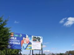 Constatan 50% de avance en mejoramiento de área verde en El Bosque