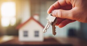 Comités de vivienda de Gorbea avanzan en proyecto que busca habilitar terreno de 6 hectáreas para nuevas viviendas