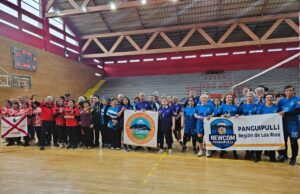 Villarrica campeón en 1er torneo de Newcom Adeperma en Panguipulli