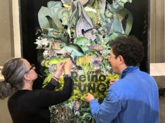 Festival Reino Fungi 2026: ciencia, arte e innovación se toman Pucón en una experiencia única