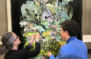 Festival Reino Fungi 2026: ciencia, arte e innovación se toman Pucón en una experiencia única