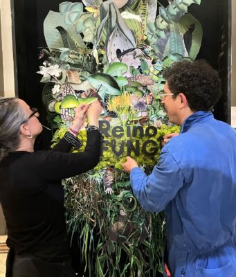 Festival Reino Fungi 2026: ciencia, arte e innovación se toman Pucón en una experiencia única