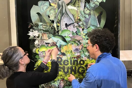 Festival Reino Fungi 2026: ciencia, arte e innovación se toman Pucón en una experiencia única