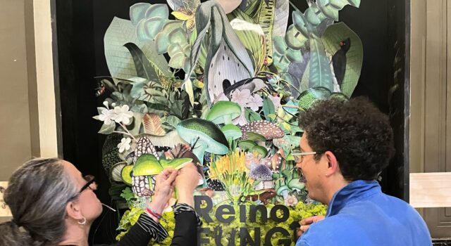 Festival Reino Fungi 2026: ciencia, arte e innovación se toman Pucón en una experiencia única