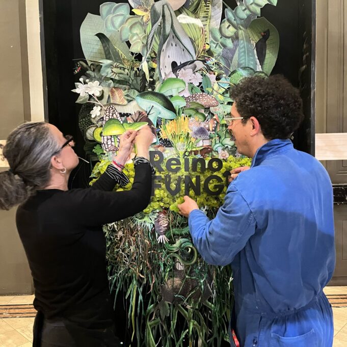 Festival Reino Fungi 2026: ciencia, arte e innovación se toman Pucón en una experiencia única