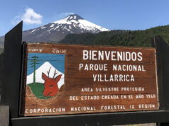 Adulto mayor lleva más de 24 horas extraviado en parque nacional Villarrica