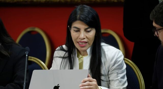 Detienen a tres universitarios por atentado contra la ministra Lincolao en Valdivia