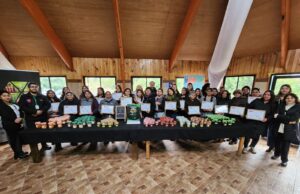 Mujeres de Freire fortalecen su autonomía económica con capacitación en elaboración de mermeladas y encurtidos