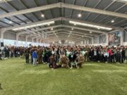 Colegios de Pitrufquén celebraron en grande el día de la convivencia escolar