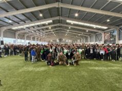 Colegios de Pitrufquén celebraron en grande el día de la convivencia escolar