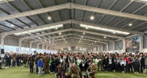 Colegios de Pitrufquén celebraron en grande el día de la convivencia escolar