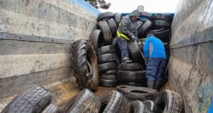Vecinos de Freire responden al llamado ambiental y reúnen 3 toneladas de neumáticos en desuso