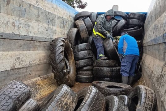 Vecinos de Freire responden al llamado ambiental y reúnen 3 toneladas de neumáticos en desuso