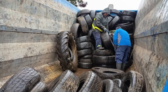 Vecinos de Freire responden al llamado ambiental y reúnen 3 toneladas de neumáticos en desuso