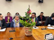 Loncoche realiza primera feria del copihue del país y refuerza identidad como capital de esta emblemática flor