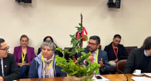 Loncoche realiza primera feria del copihue del país y refuerza identidad como capital de esta emblemática flor