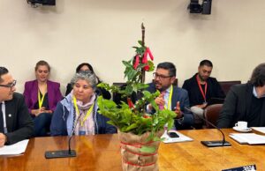Loncoche realiza primera feria del copihue del país y refuerza identidad como capital de esta emblemática flor