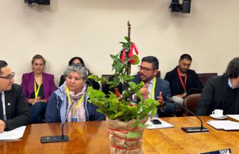 Loncoche realiza primera feria del copihue del país y refuerza identidad como capital de esta emblemática flor