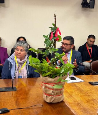 Loncoche realiza primera feria del copihue del país y refuerza identidad como capital de esta emblemática flor