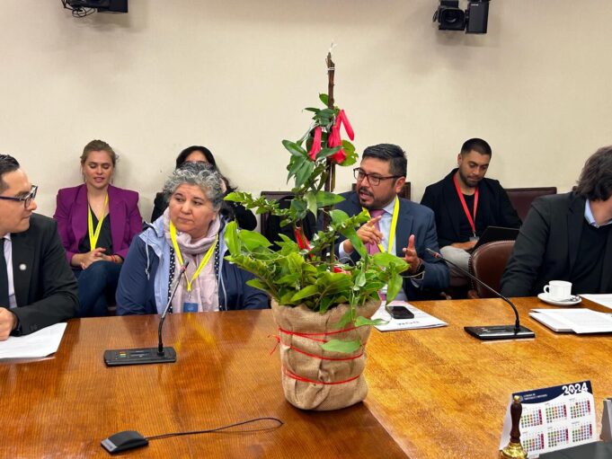 Loncoche realiza primera feria del copihue del país y refuerza identidad como capital de esta emblemática flor