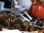 Pucón invita a una sabrosa muestra de la castaña que “se postula” como festival