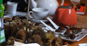 Pucón invita a una sabrosa muestra de la castaña que “se postula” como festival