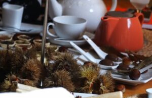 Pucón invita a una sabrosa muestra de la castaña que “se postula” como festival