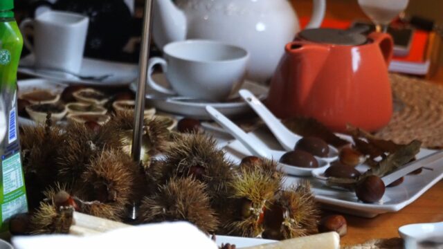 Pucón invita a una sabrosa muestra de la castaña que “se postula” como festival