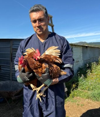 Personal del SAG y UDEL visitan predio avícola en Pitrufquén para advertir sobre alerta sanitaria por gripé aviar en la región