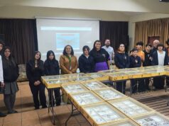 Más de 4 mil especies en exhibición: insectario llega al centro cultural de Pitrufquén para celebrar el día de la tierra