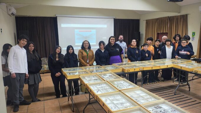 Más de 4 mil especies en exhibición: insectario llega al centro cultural de Pitrufquén para celebrar el día de la tierra