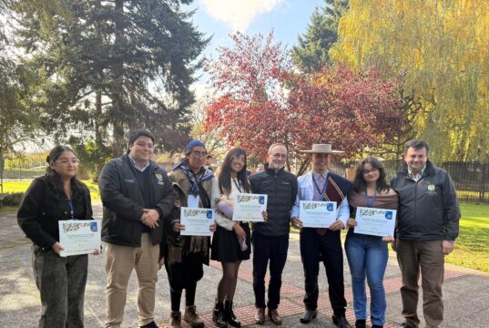 Pitrufquén celebra a sus talentos: cinco jóvenes de la comuna fueron reconocidos entre los “Jóvenes Talentos de La Araucanía 2026”