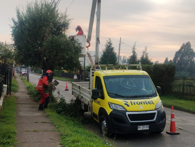 Frontel refuerza trabajos de mantenimiento en zona urbana de Imperial para mejorar la calidad del suministro eléctrico
