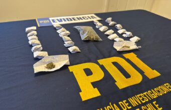 Incautan marihuana y detienen a hombre de 22 años investigado por venta de drogas en Quepe