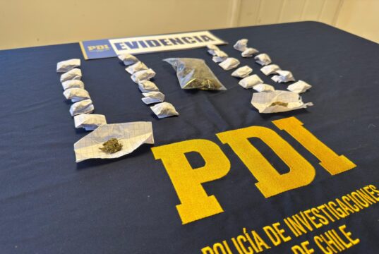 Incautan marihuana y detienen a hombre de 22 años investigado por venta de drogas en Quepe