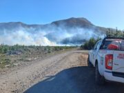 Dos incendios forestales en combate en La Araucanía: mantienen suspensión de quemas por viento puelche