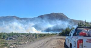 Dos incendios forestales en combate en La Araucanía: mantienen suspensión de quemas por viento puelche