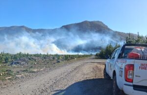 Dos incendios forestales en combate en La Araucanía: mantienen suspensión de quemas por viento puelche